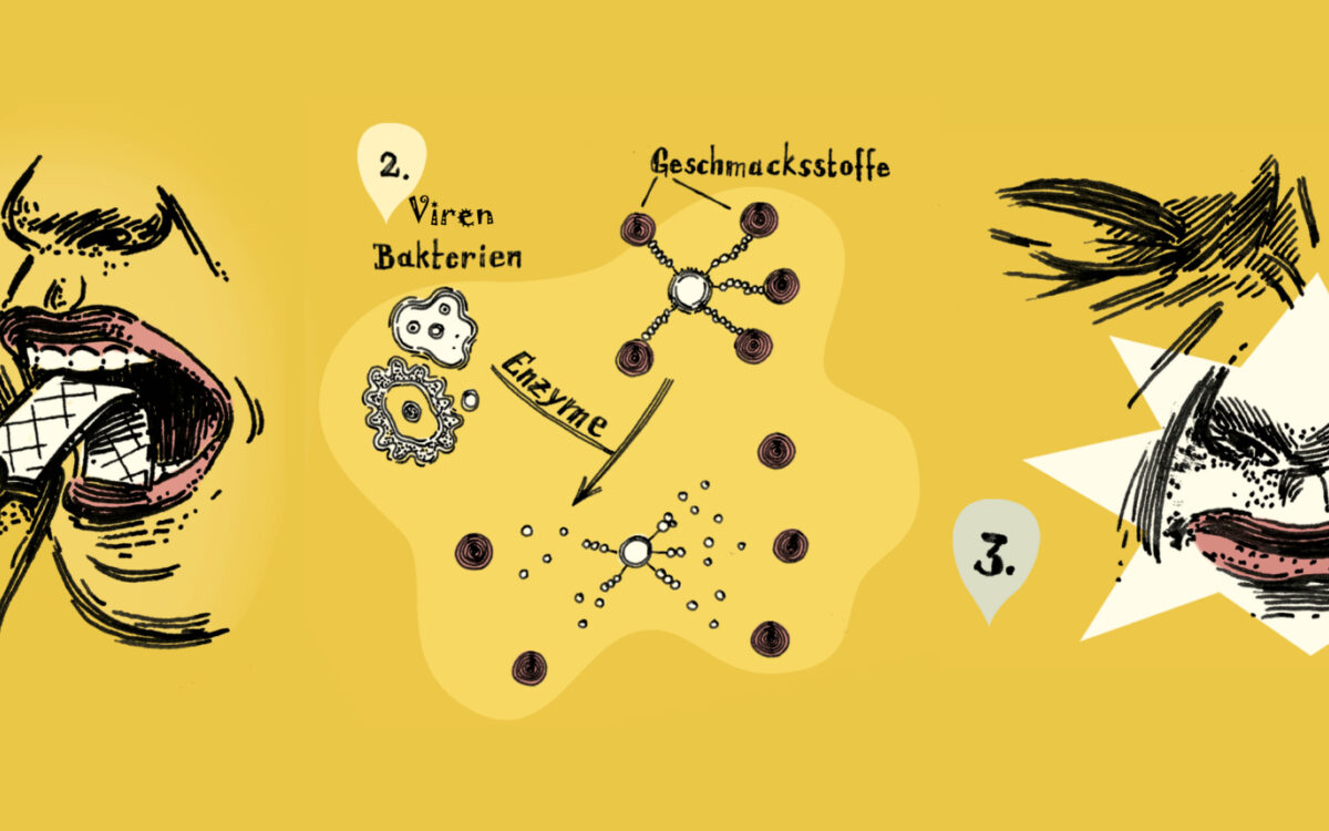 1002 Schnelltest Grippeviren DT 1002 Schnelltest Grippeviren DT