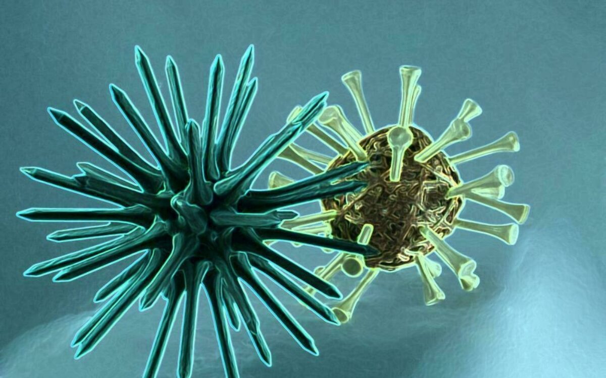 1608556424corona by pixabay 3 1608556424corona by pixabay 3