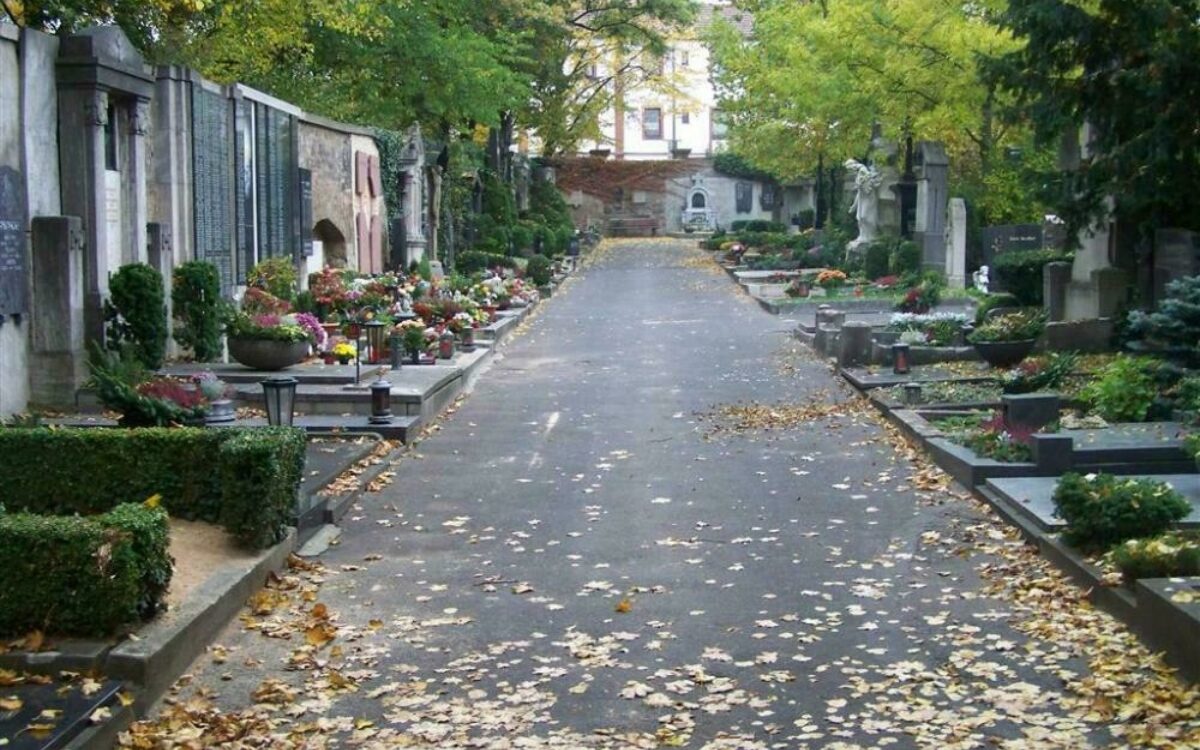 1609245233grabreihe hauptfriedhof foto em 1609245233grabreihe hauptfriedhof foto em
