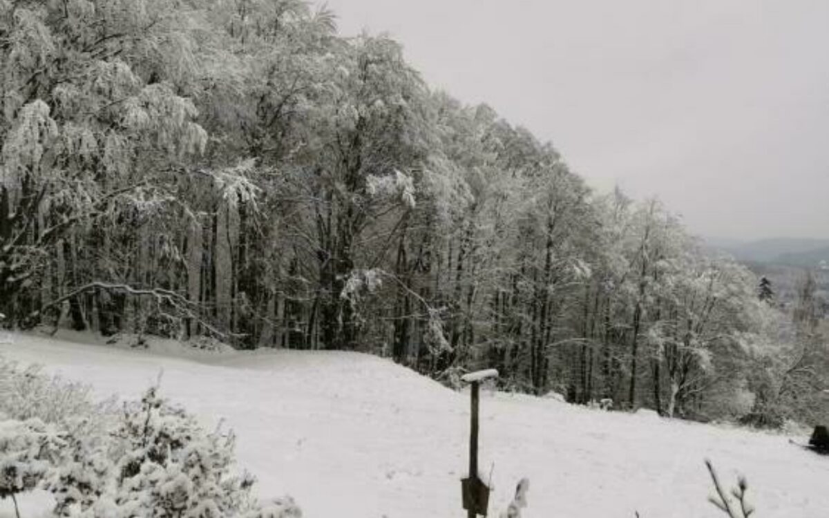 1609701007whatsapp image 2021 01 03 at 20 06 37 1609701007whatsapp image 2021 01 03 at 20 06 37