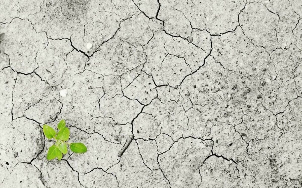 1611831108klimawandel trocken 1611831108klimawandel trocken