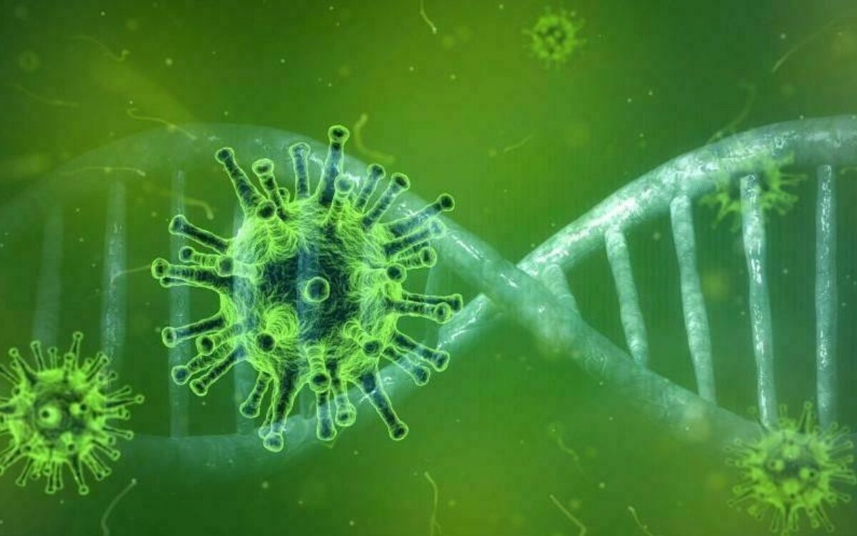 16123662491612106361corona virus bild grrn pixabay com 16123662491612106361corona virus bild grrn pixabay com