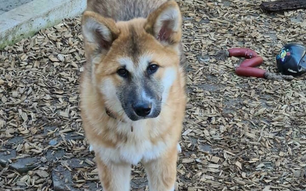 1614610955153502369 4114753801877306 5993086421986705444 n 1614610955153502369 4114753801877306 5993086421986705444 n