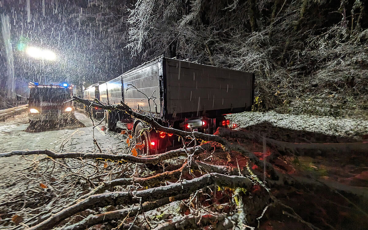 Baum verschneite Strasse MSP Baum verschneite Strasse MSP