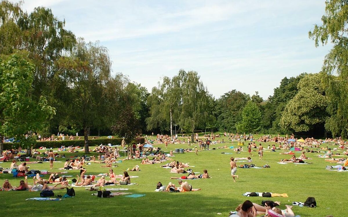 Dallenbergbad Freibad Sonnen 1 Large Dallenbergbad Freibad Sonnen 1 Large