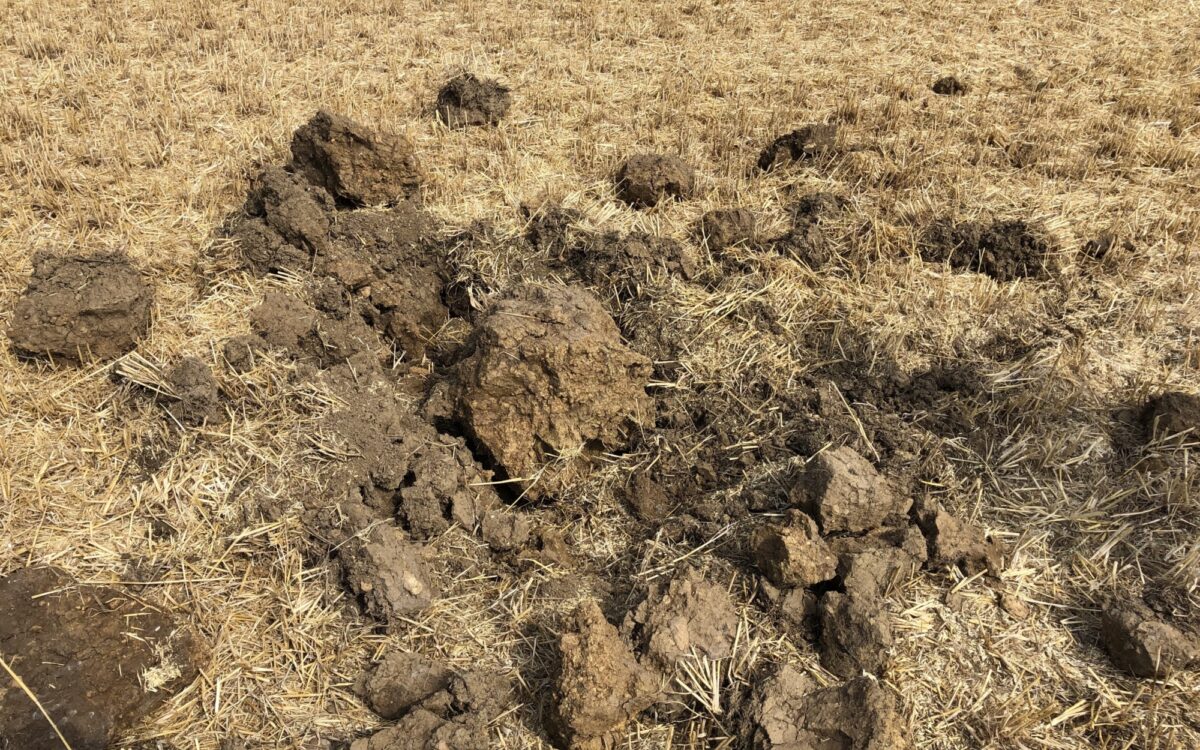 Der Boden auf den Feldern der Region ist extrem ausgetrocknet Der Boden auf den Feldern der Region ist extrem ausgetrocknet