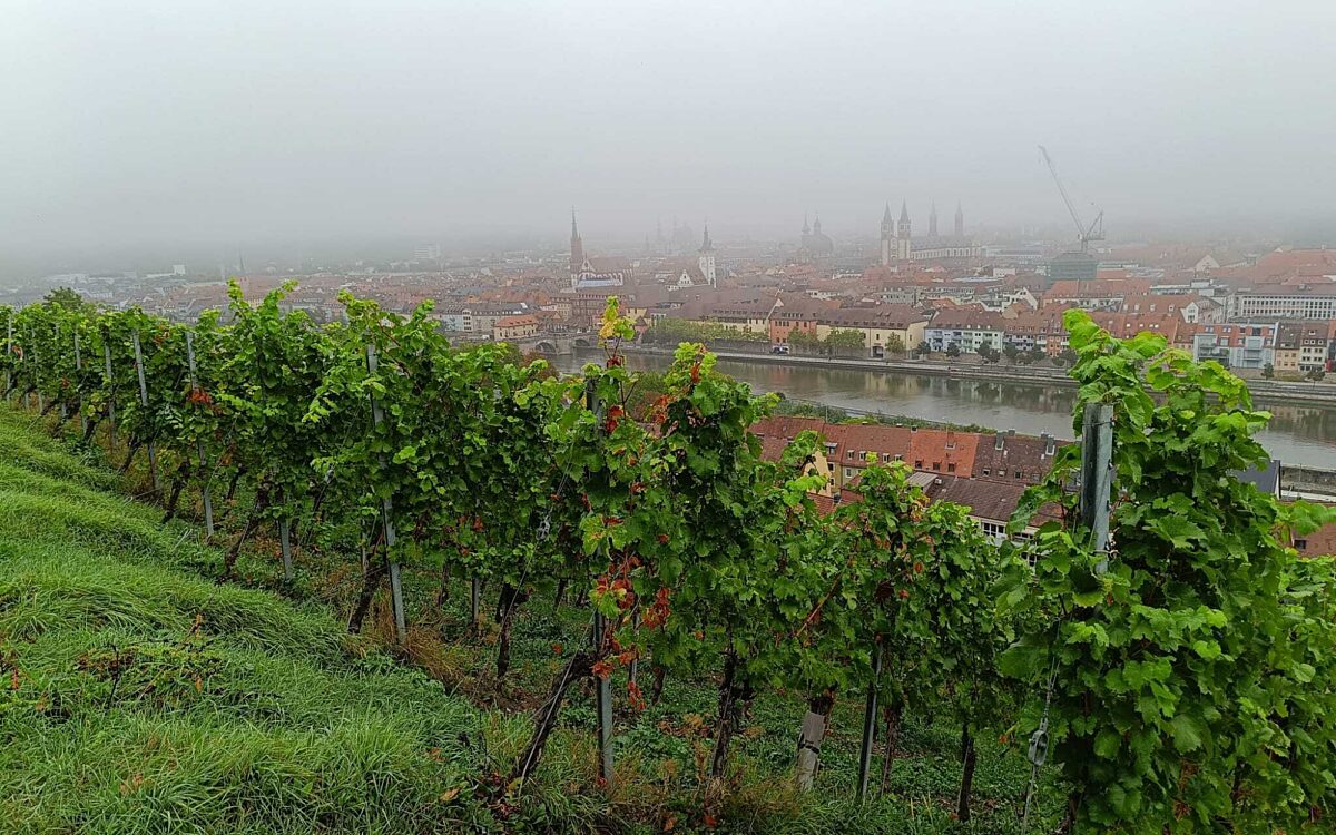 Ein Blick auf Wuerzburg mit Weinbergen Ein Blick auf Wuerzburg mit Weinbergen