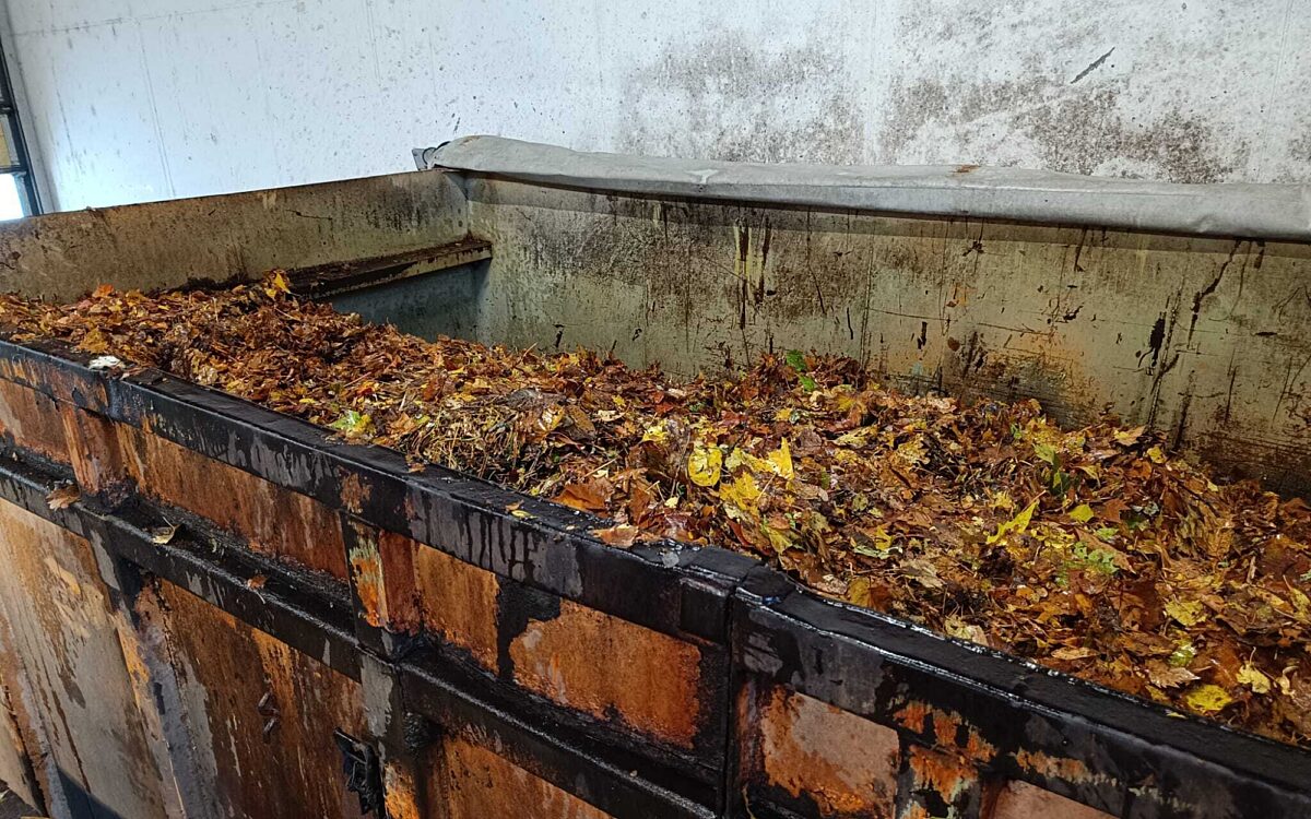 Ein Container voll mit Laub Ein Container voll mit Laub