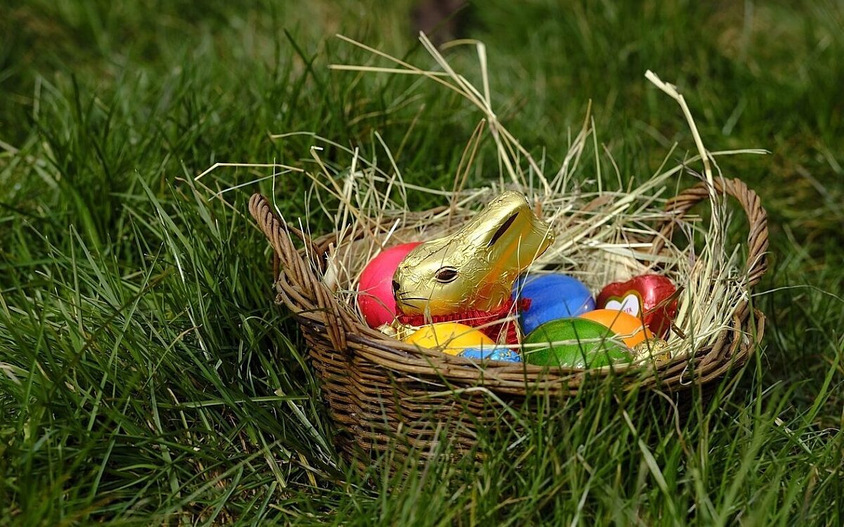 Ein Osternest mit einem Schokoosterhasen Ein Osternest mit einem Schokoosterhasen