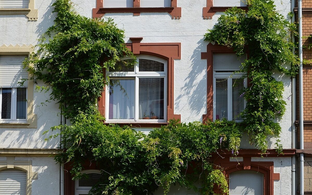 Ein Symbolbild fuer ein begruente Hausfassade Foto Pixabay Ein Symbolbild fuer ein begruente Hausfassade Foto Pixabay