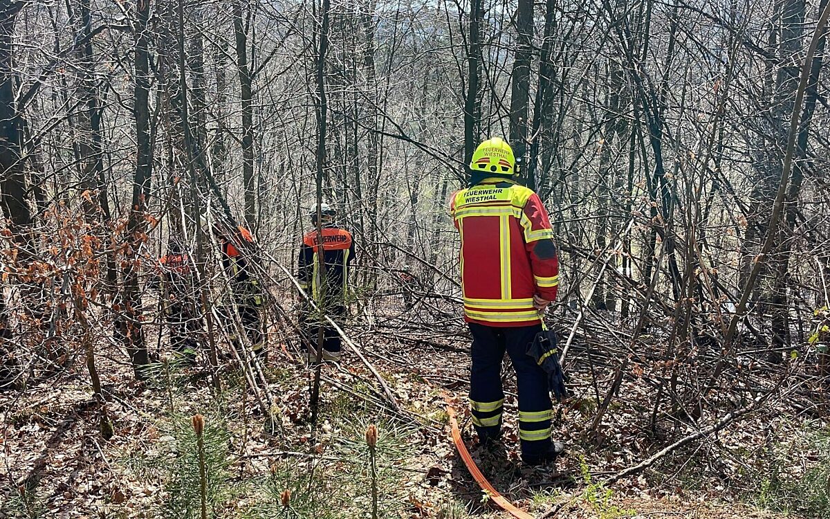 Ein Waldbrand zwischen Partenstein und Krommenthal Ein Waldbrand zwischen Partenstein und Krommenthal