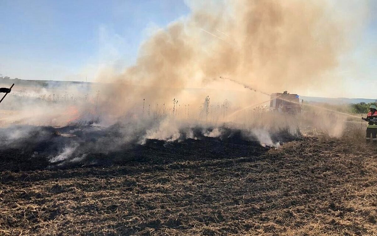 Ein trockenes Feld steht in Flammen Ein trockenes Feld steht in Flammen
