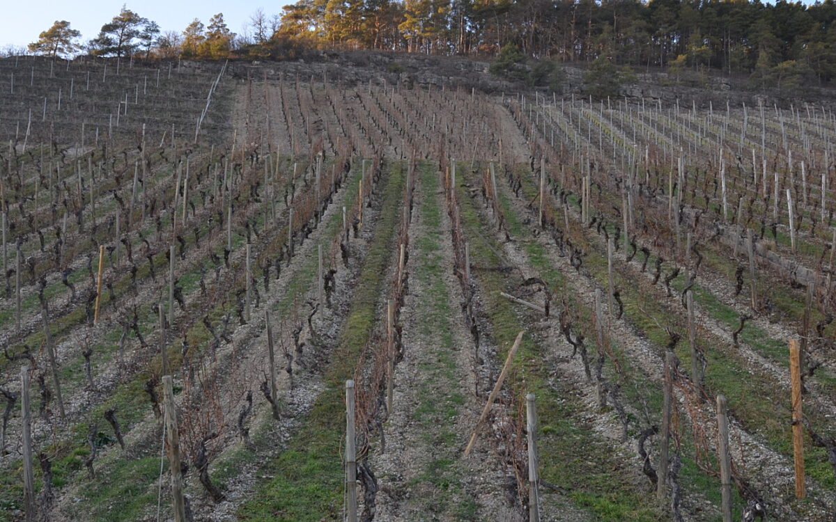 Der im Februar 2021 abgestürzte Steinquader am Moosberg bei Thüngersheim Der im Februar 2021 abgestürzte Steinquader am Moosberg bei Thüngersheim