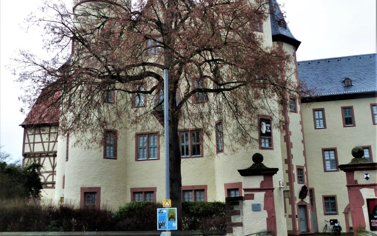 Die Friedenslinde in Lohr Die Friedenslinde in Lohr