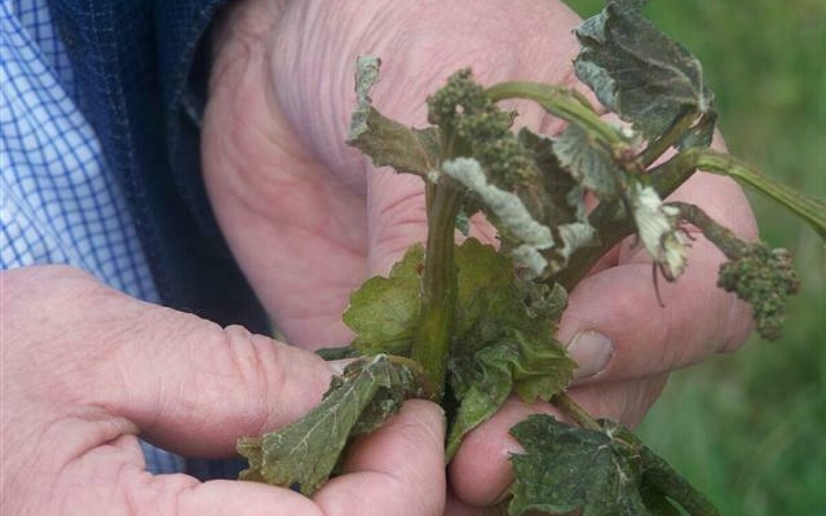 Frostschaden funkhaus 4 Frostschaden funkhaus 4