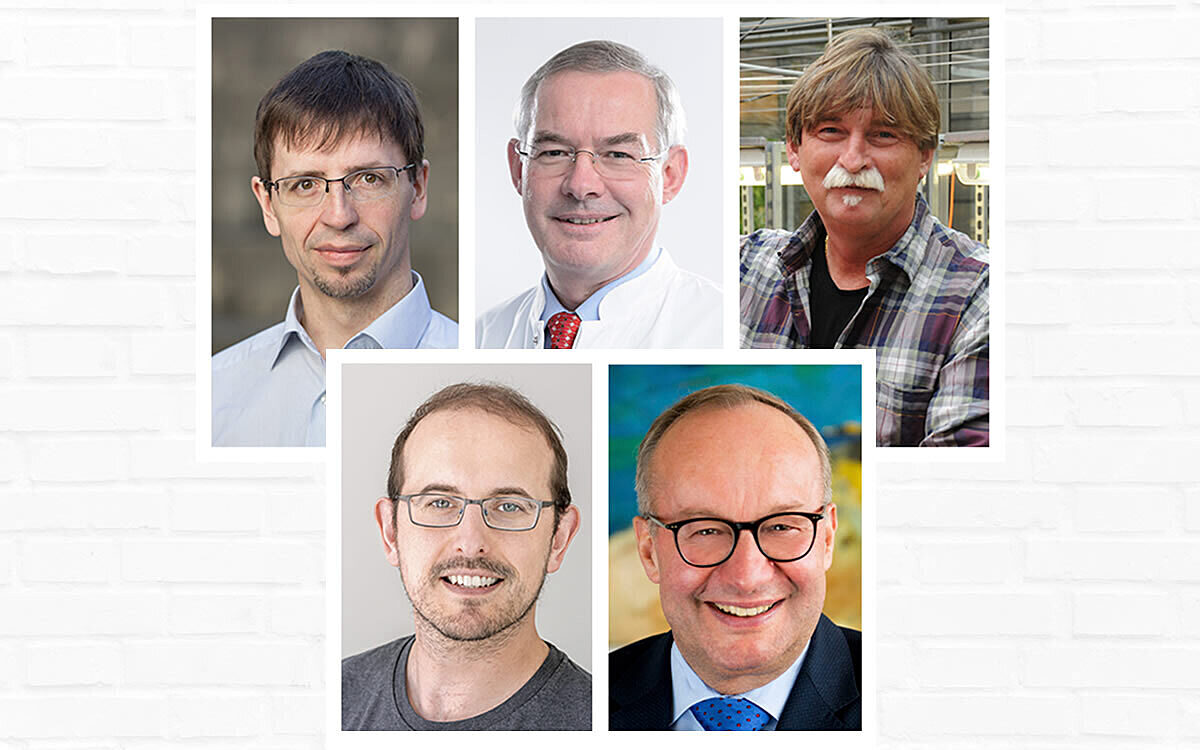 Fünf Forscher der Uni Würzburg meist zitiert Fünf Forscher der Uni Würzburg meist zitiert