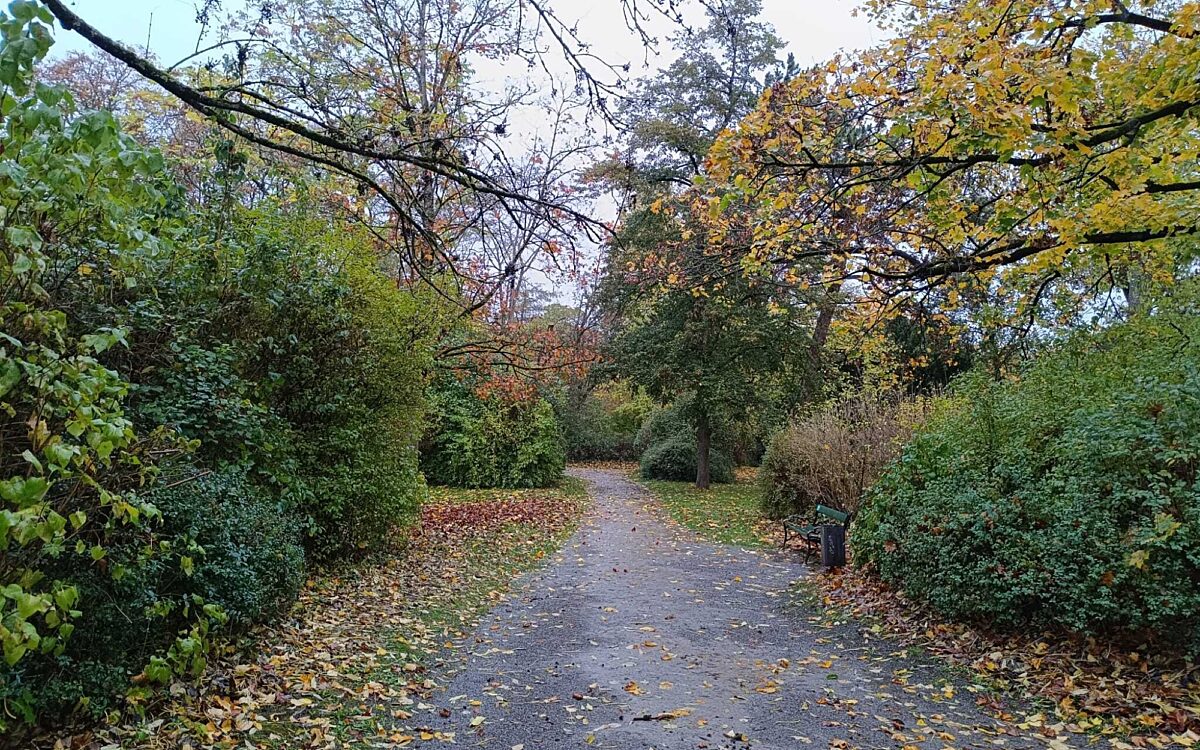 Herbst im Ringpark Herbst im Ringpark