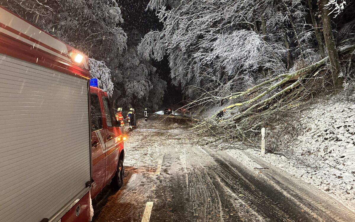 Feuerwehr bei umgestürztem Baum Feuerwehr bei umgestürztem Baum