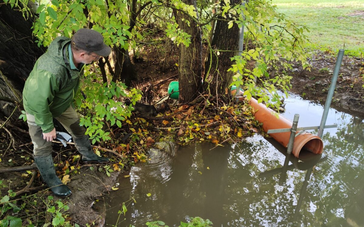 IMG 20241009 100244 IMG 20241009 100244