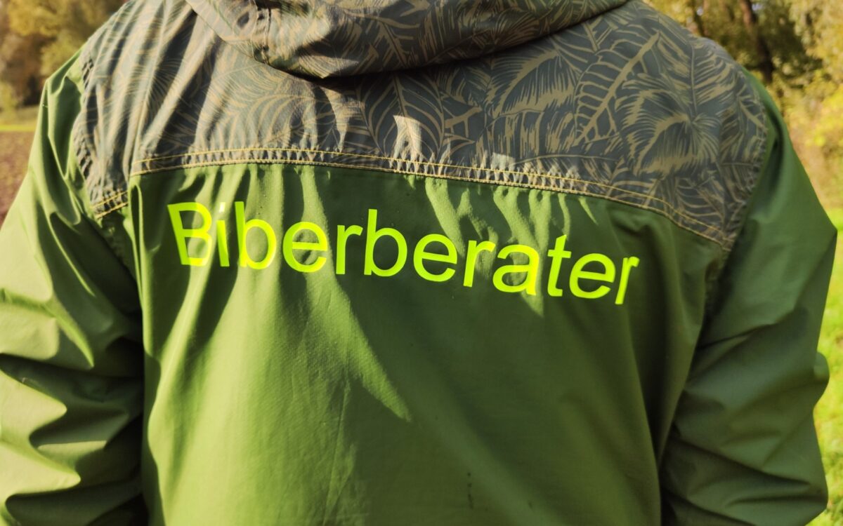 IMG 20241009 102249 IMG 20241009 102249