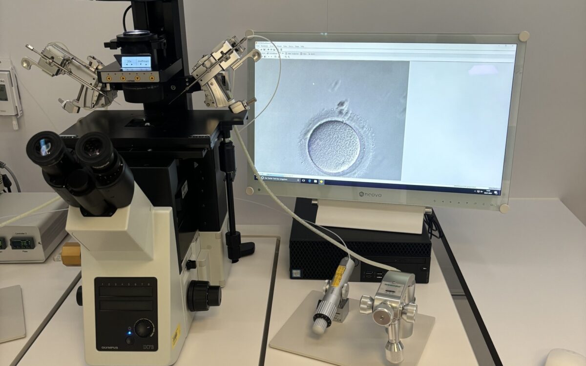 Kinderwunschzentrum Eizelle UKW Kinderwunschzentrum Eizelle UKW