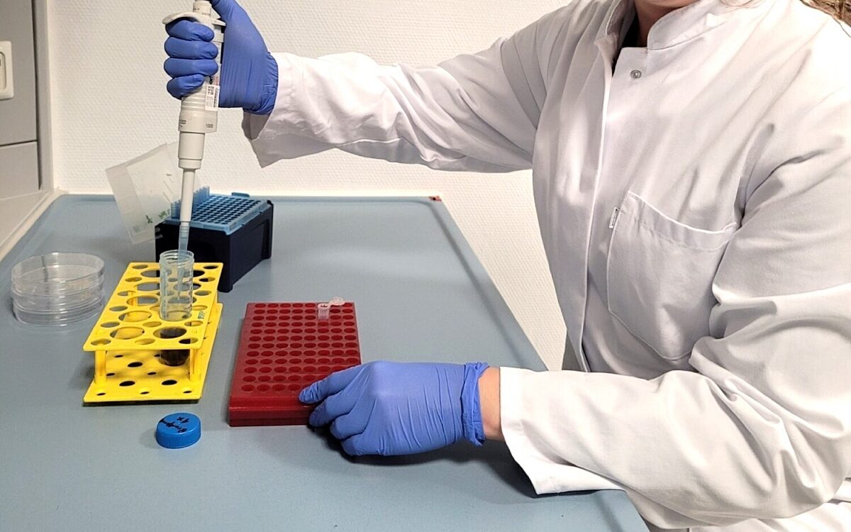 Krebsforschung Uniklinik Wuerzburg Krebsforschung Uniklinik Wuerzburg