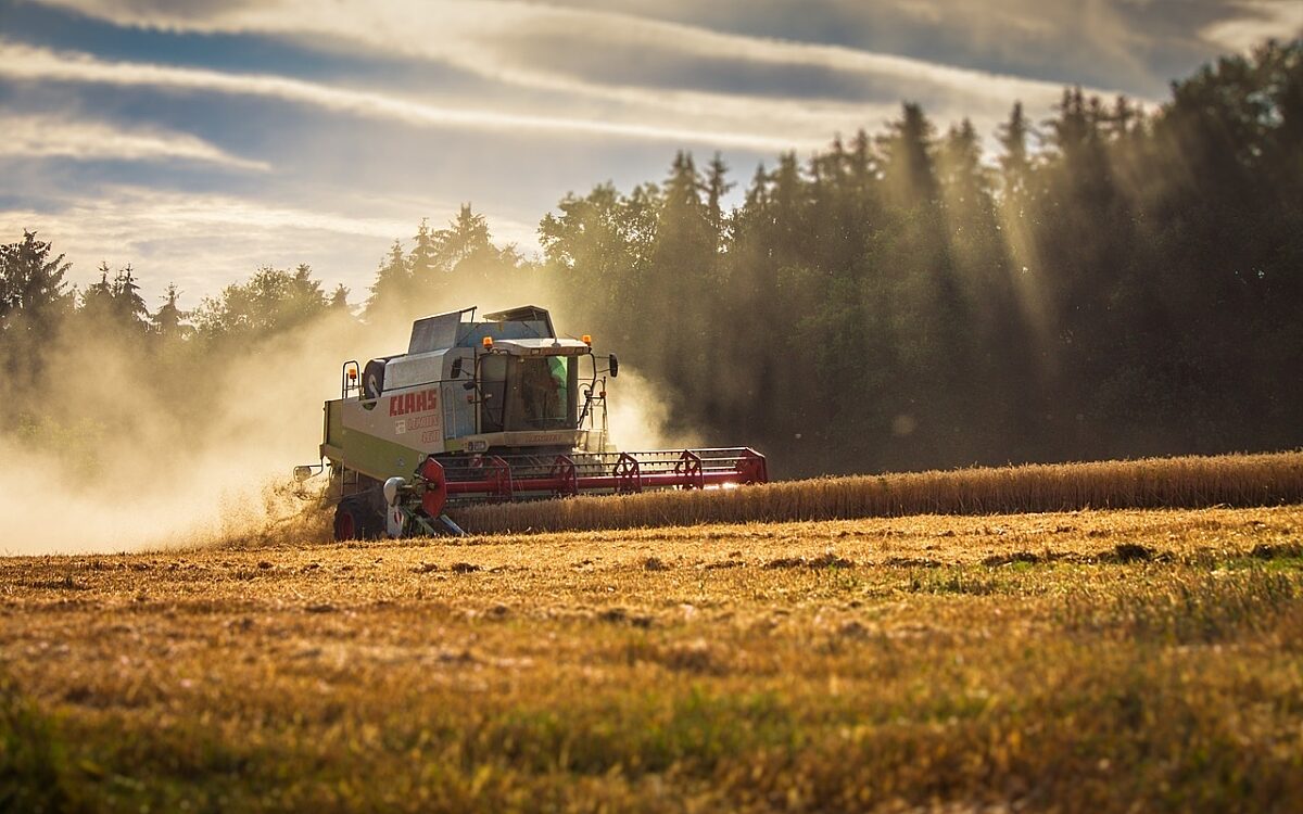 Maehdrescher auf einem Feld Maehdrescher auf einem Feld
