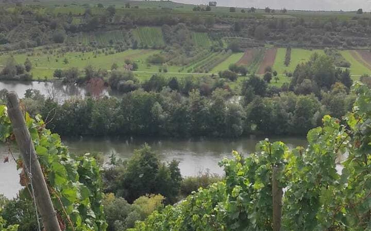 Mee Vespen 5 Mee Vespen 5