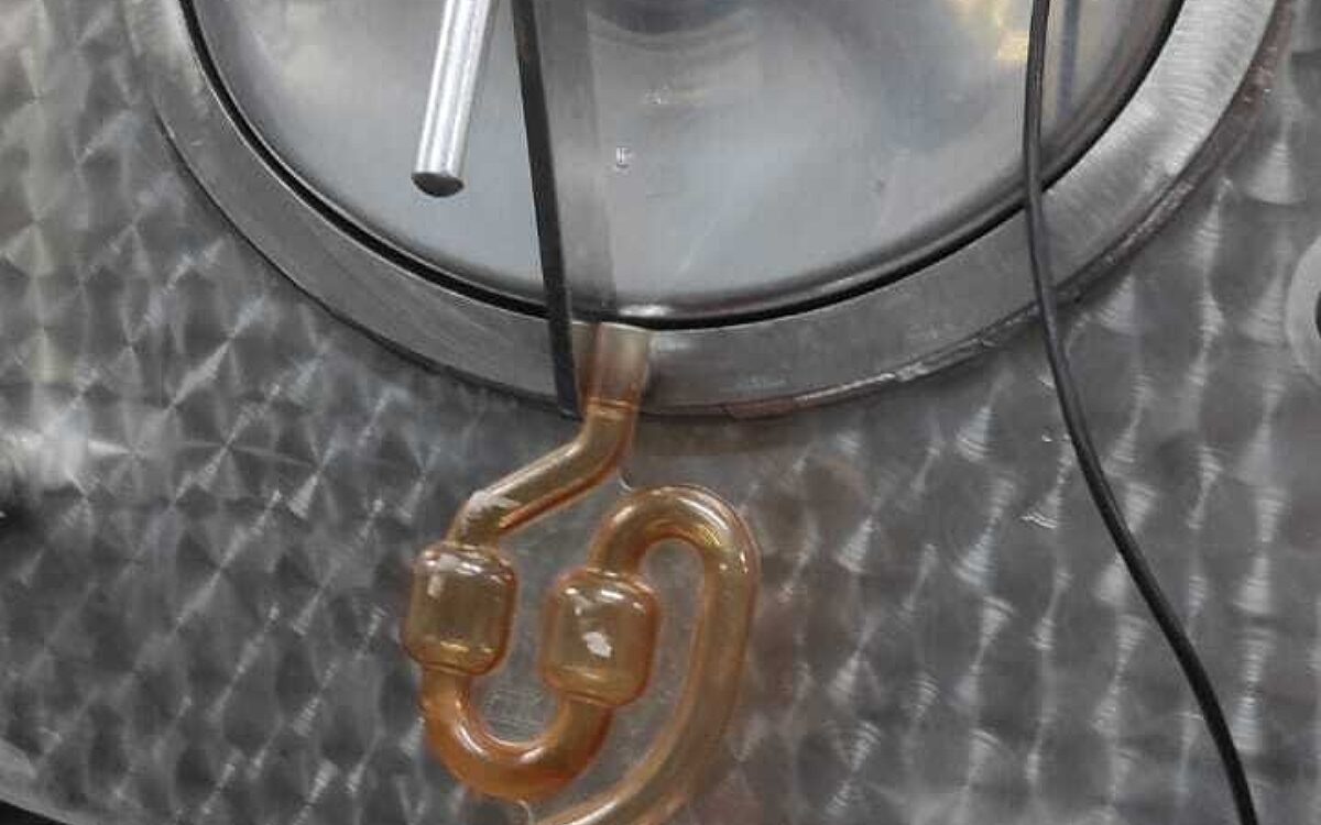 Mee Vespen Stopp beim Weingut Clemens Fröhlich 4 Mee Vespen Stopp beim Weingut Clemens Fröhlich 4