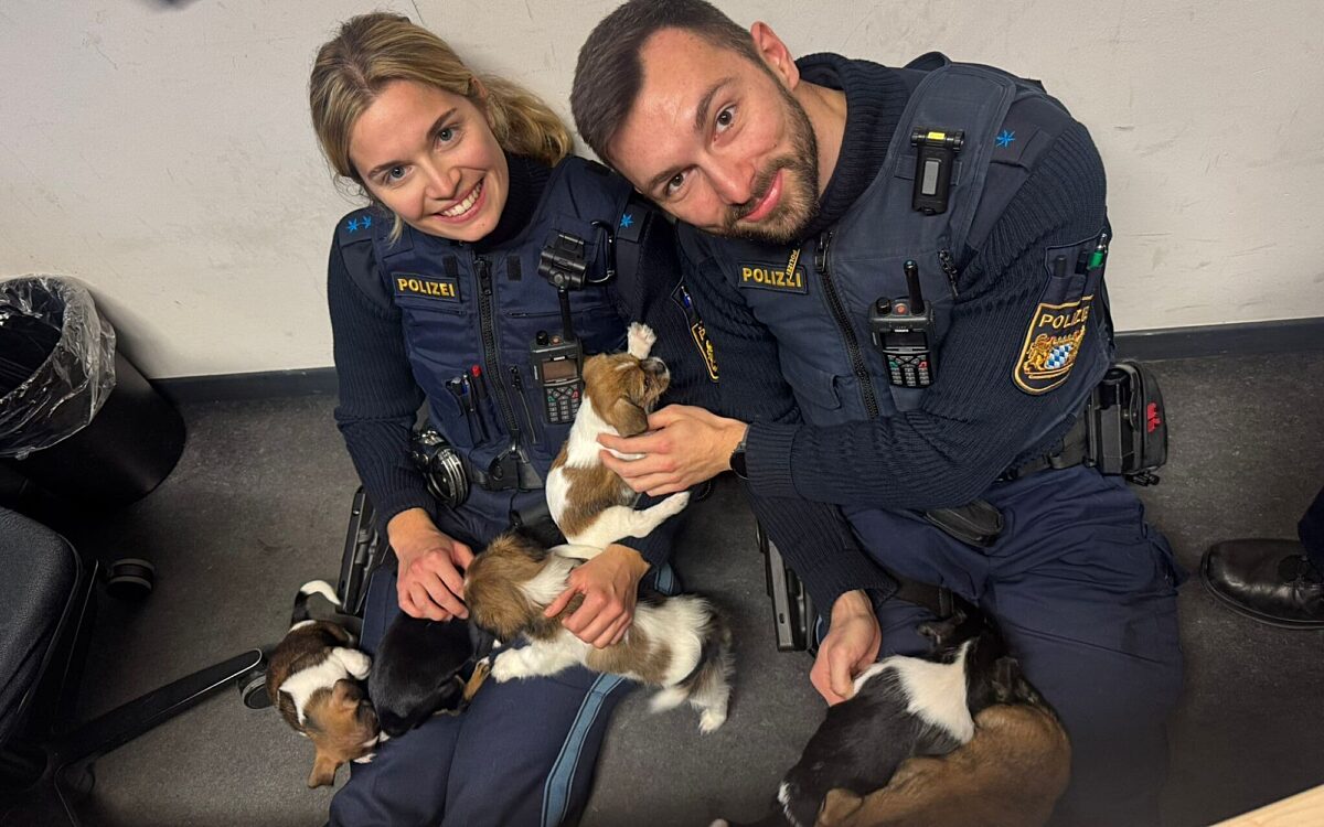 Polizei kümmert sich um ausgesetzte Hundewelpen Polizei kümmert sich um ausgesetzte Hundewelpen