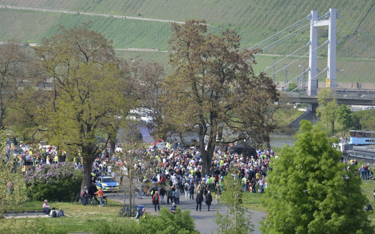 Querdenker Demo min Querdenker Demo min