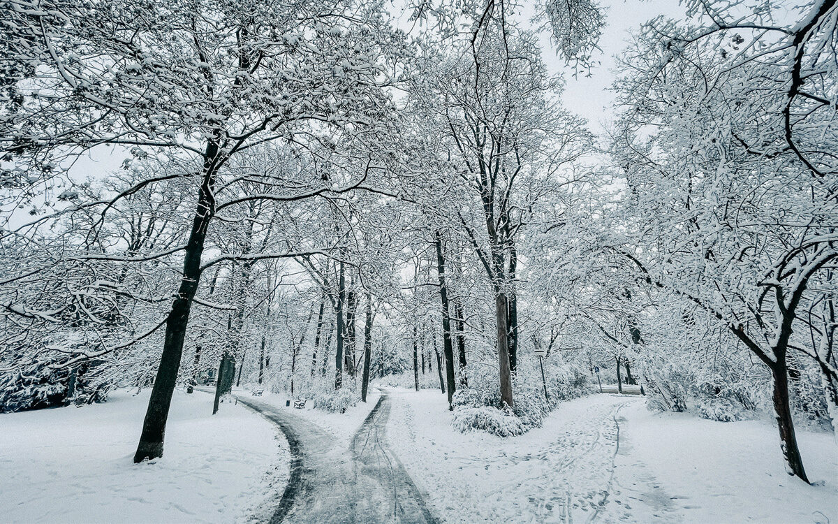 Ringpark Winter Schnee Würzburg - Funkhaus Würzburg Ringpark Winter Schnee Würzburg - Funkhaus Würzburg