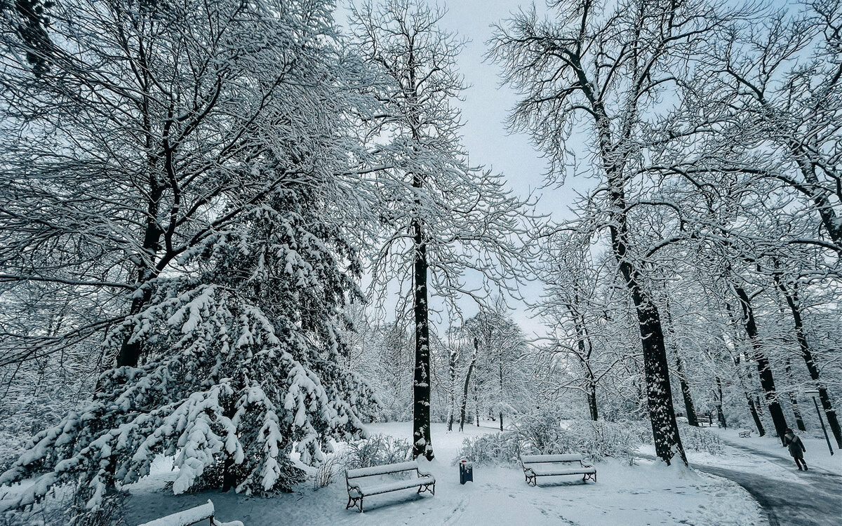 Ringpark Winter Schnee Würzburg - Funkhaus Würzburg Ringpark Winter Schnee Würzburg - Funkhaus Würzburg