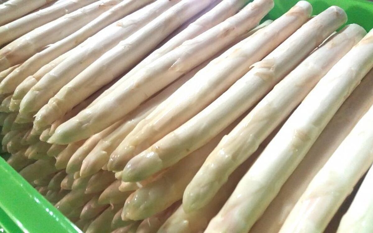 Eine Kiste mit Spargel darin Eine Kiste mit Spargel darin