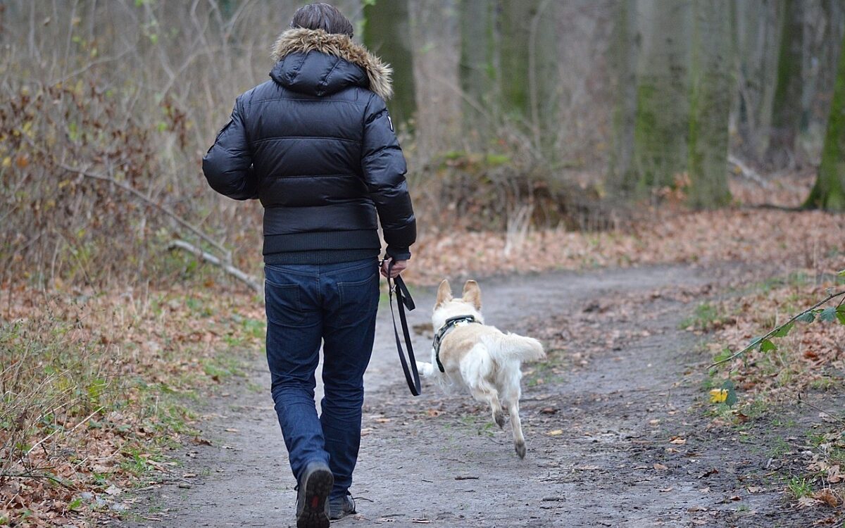 Spaziergaenger mit Hund in einem Wald Spaziergaenger mit Hund in einem Wald