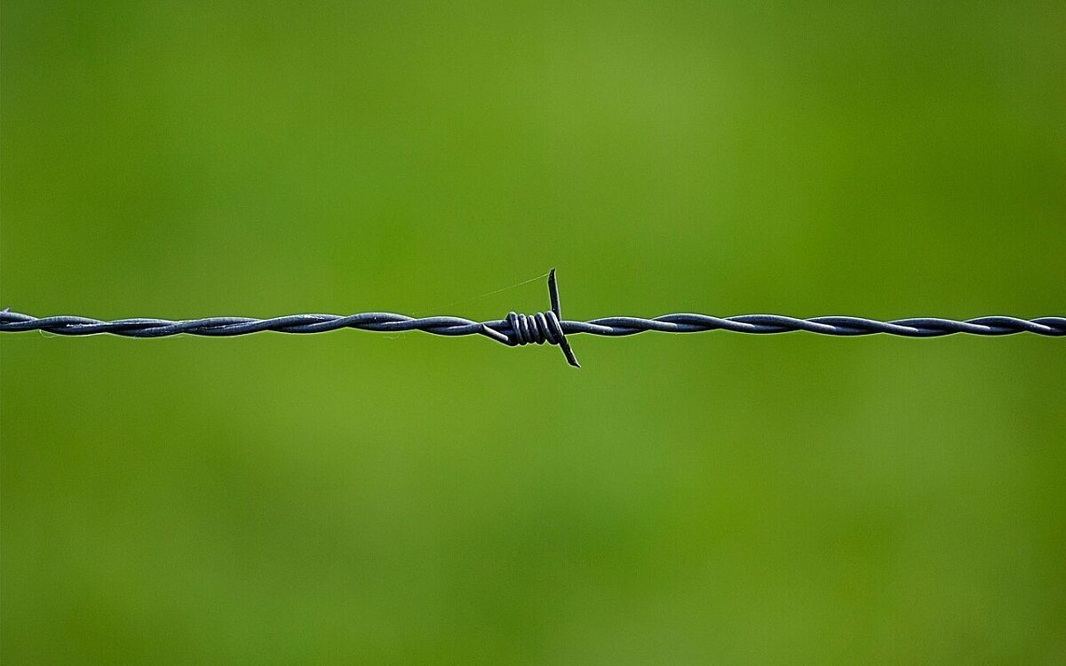 Stacheldraht Stacheldraht