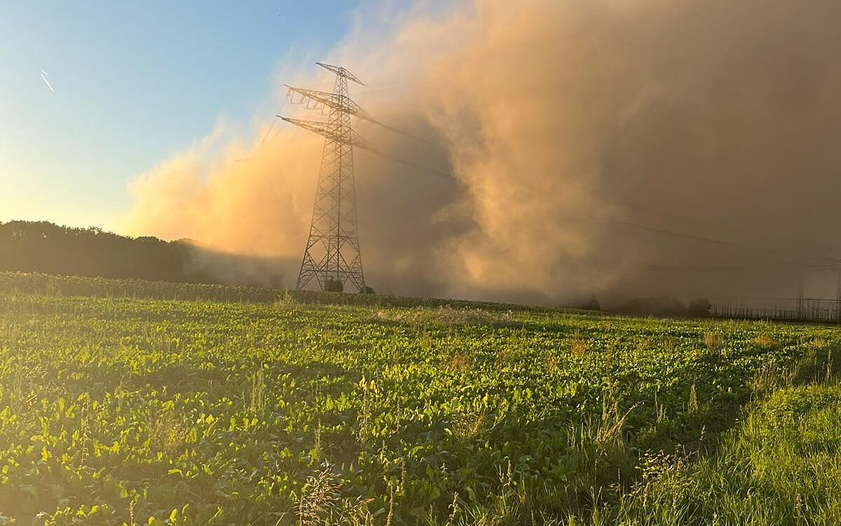 Staubwolke nach der Sprengung der Kuehltuerme in Grafenrheinfeld Staubwolke nach der Sprengung der Kuehltuerme in Grafenrheinfeld