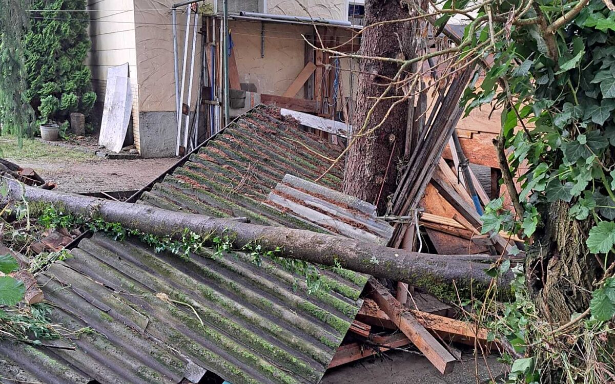 Umgestuerzte Baeume Umgestuerzte Baeume