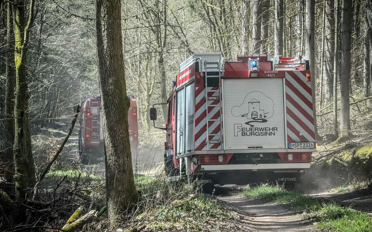 Vegetationsbrand bei Mittelsinn sorgt für Großeinsatz Vegetationsbrand bei Mittelsinn sorgt für Großeinsatz