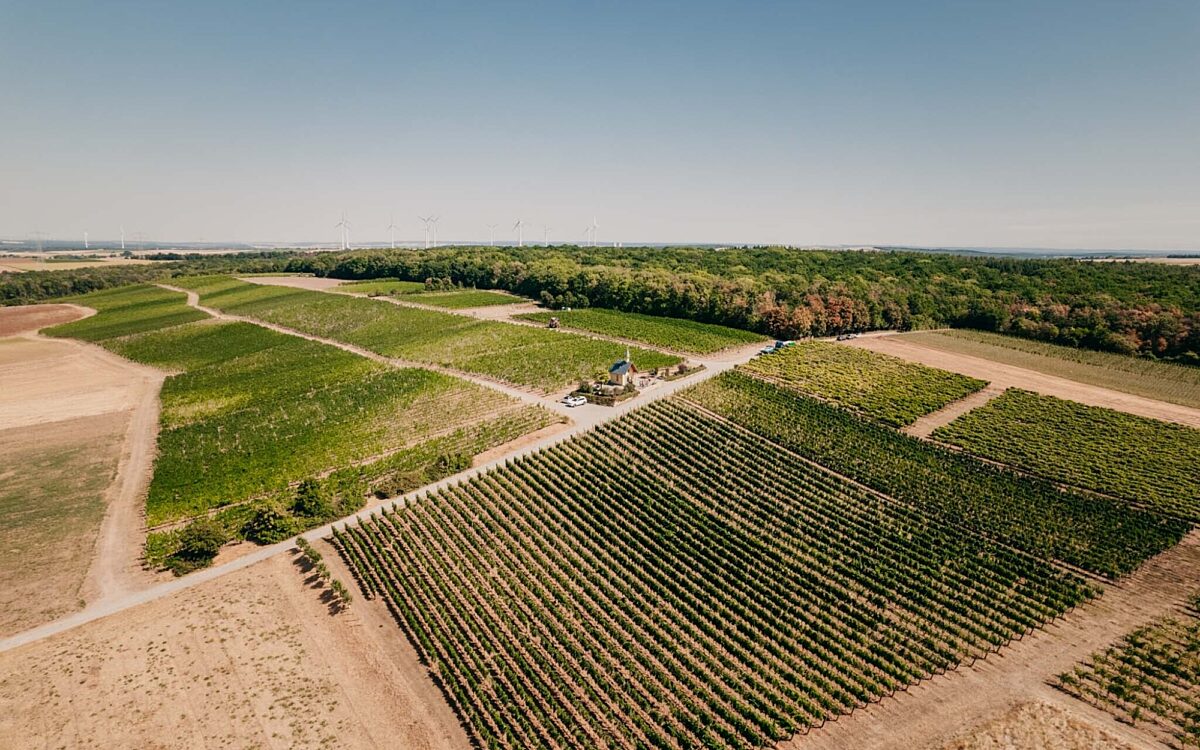 Weinberg von oben in Bergtheim an der Kapelle-2 Weinberg von oben in Bergtheim an der Kapelle-2