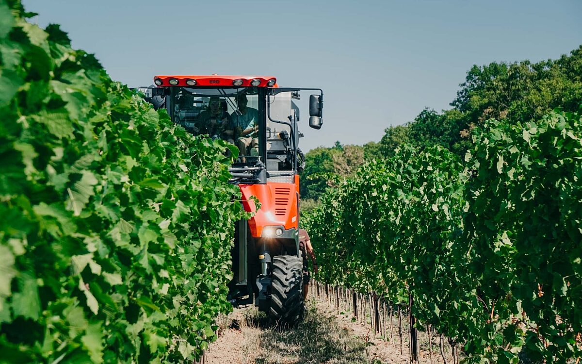 Vollernter auf der Weinlese in Bergtheim Vollernter auf der Weinlese in Bergtheim