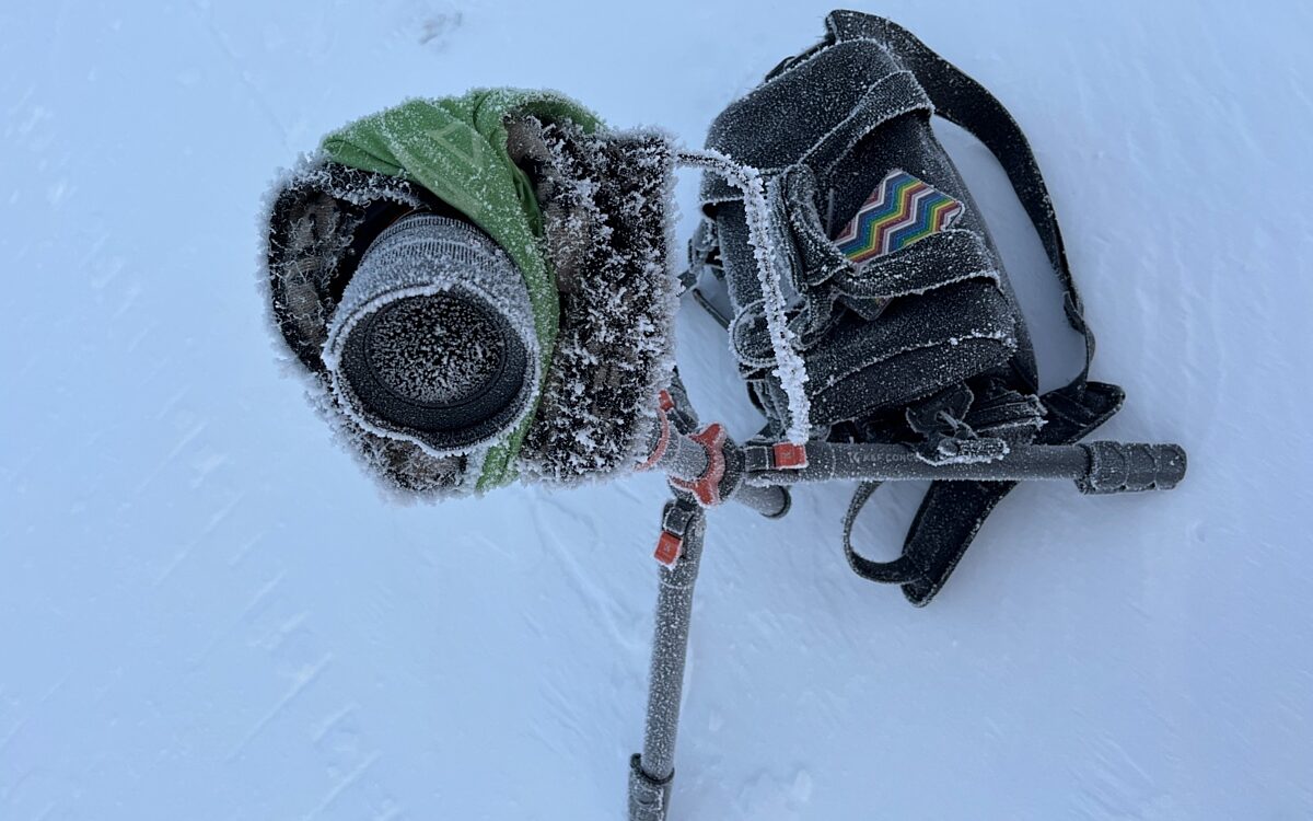 Whats App Bild 2024 09 18 um 12 30 59 02441301 Whats App Bild 2024 09 18 um 12 30 59 02441301