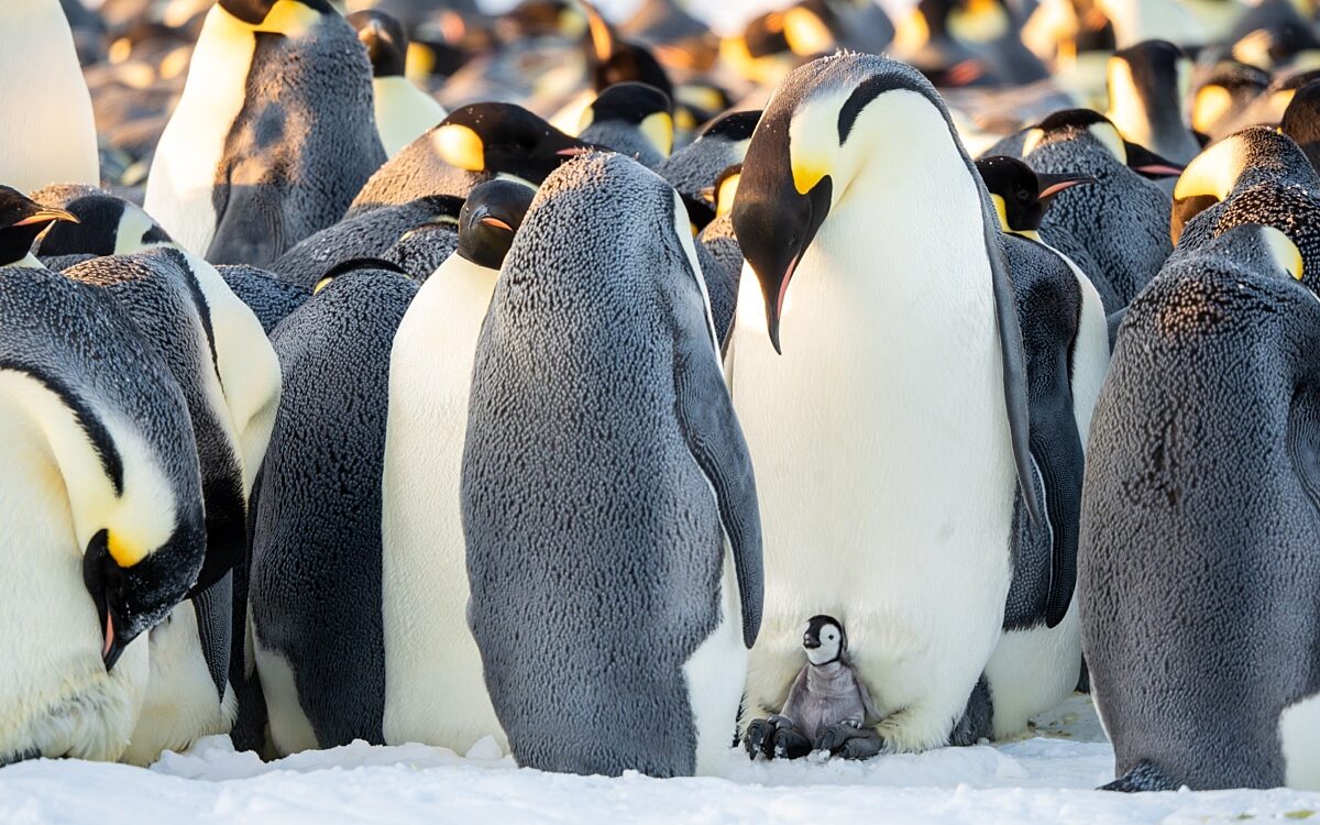 Whats App Bild 2024 09 18 um 12 30 59 7b0a84fd Whats App Bild 2024 09 18 um 12 30 59 7b0a84fd