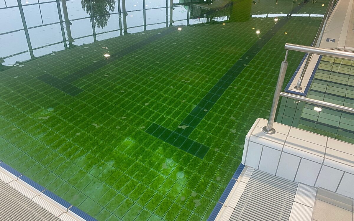 Wonnemar 8 Wonnemar 8