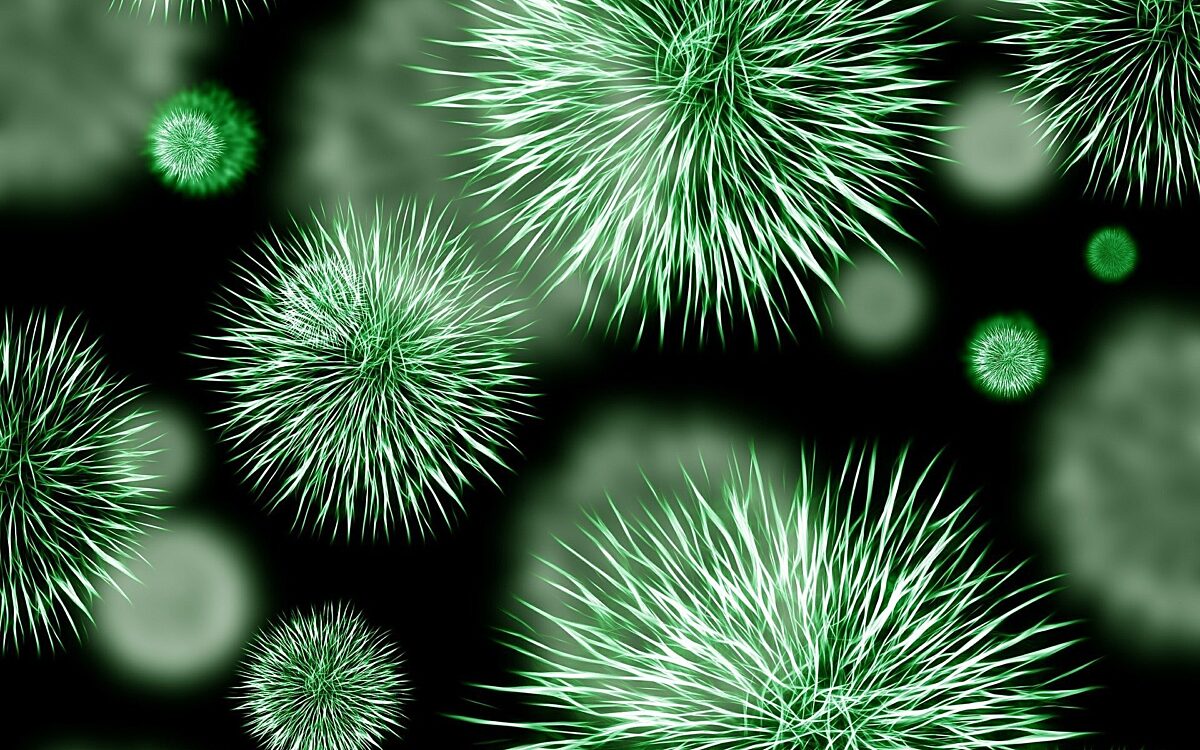 Bakterien Keime Grün Bakterien Keime Grün