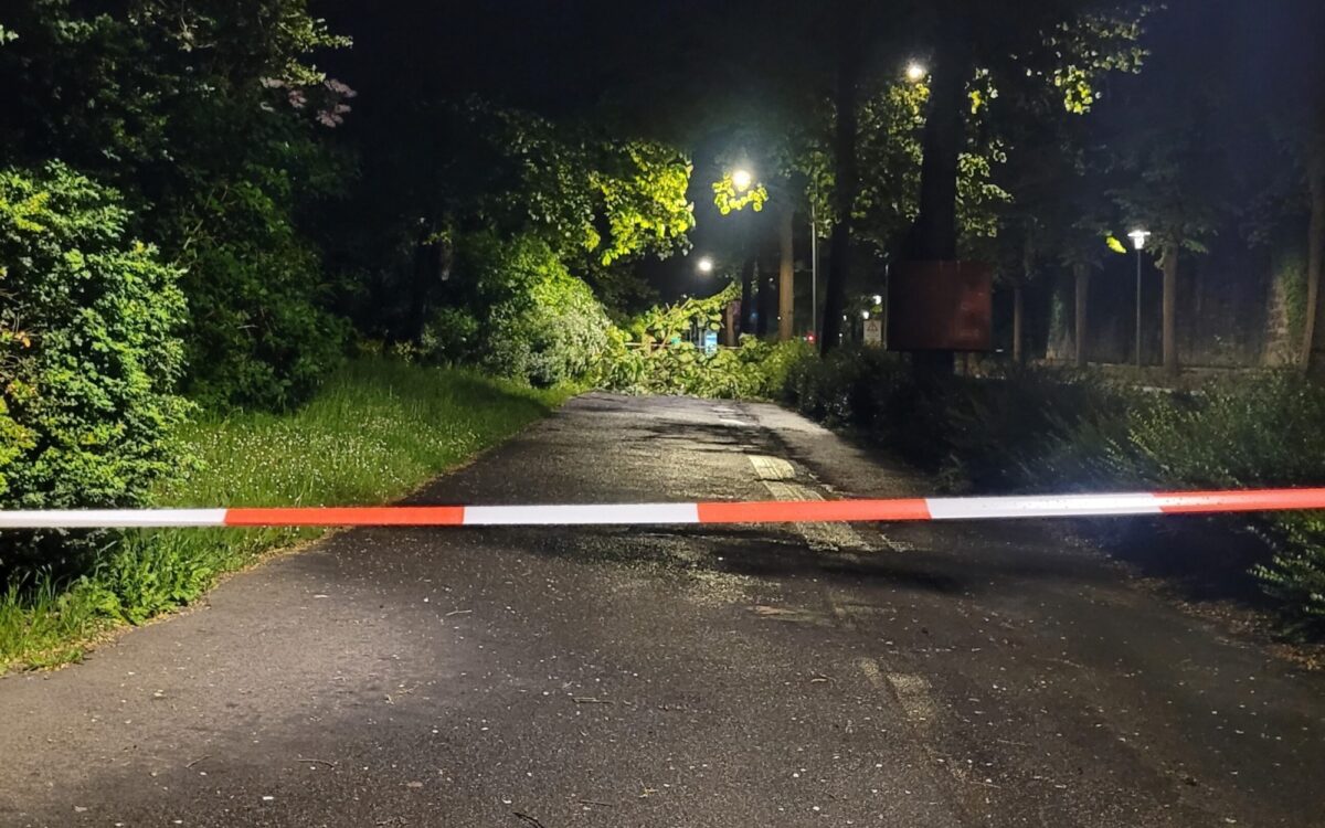 Ein größerer Ast blockiert einen Rad- und Fußweg an der Rottendorfer Straße, im Würzburger Ringpark Ein größerer Ast blockiert einen Rad- und Fußweg an der Rottendorfer Straße, im Würzburger Ringpark