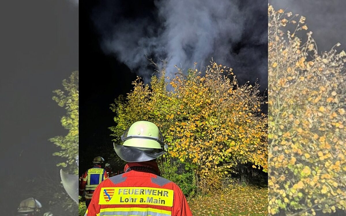Rauch steigt aus einer Baumkrone auf