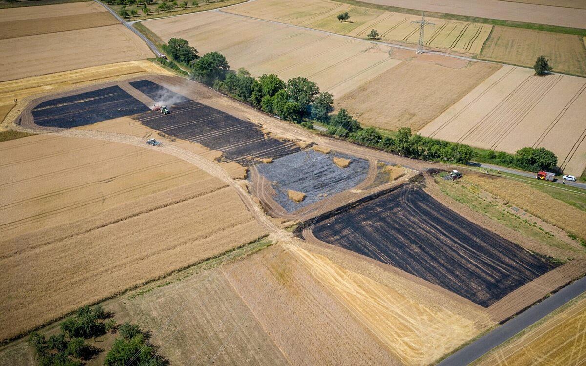 Ein abgebranntes Feld bei Ansbach Ein abgebranntes Feld bei Ansbach