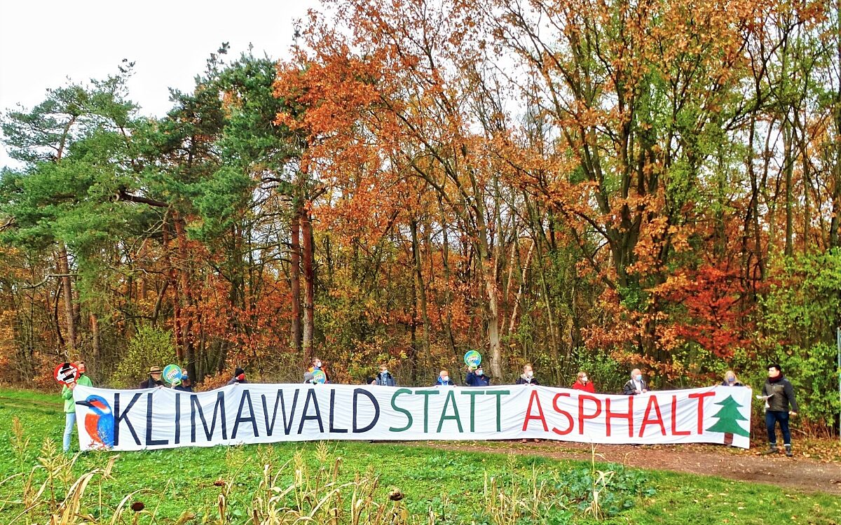 BUND Naturschutz setzt sich für einen Klimawald ein BUND Naturschutz setzt sich für einen Klimawald ein