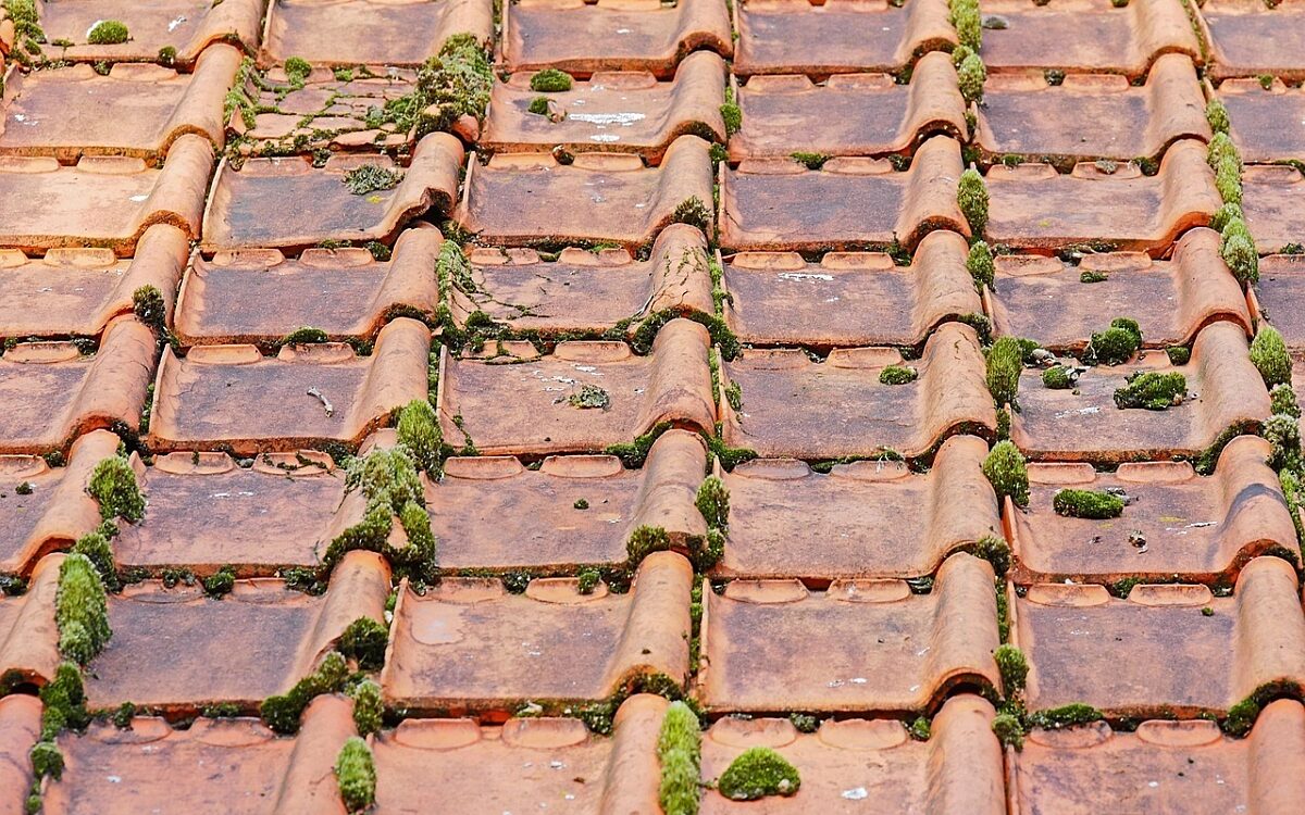 Rote Dachziegel, teilweise mit Moos bewachsen Rote Dachziegel, teilweise mit Moos bewachsen